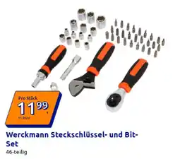 Action Werckmann Steckschlüssel- und Bit- Set Angebot