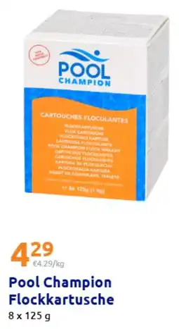 Action Pool Champion Flockkartusche Angebot