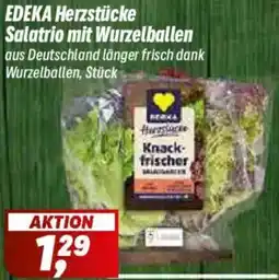 Simmel EDEKA Herzstücke Salatrio mit Wurzelballen Angebot