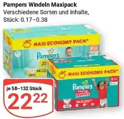 Globus Pampers Windeln Maxipack Angebot