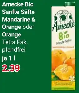 Globus Amecke Bio Sanfte Säfte Mandarine & Orange oder Orange Angebot