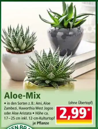 Norma Aloe Mix Angebot