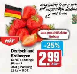 AEZ Deutschland Erdbeeren Angebot