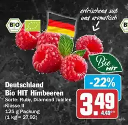 AEZ Deutschland Bio HIT Himbeeren Angebot