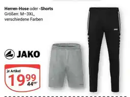 Globus Herren-Hose oder -Shorts Angebot