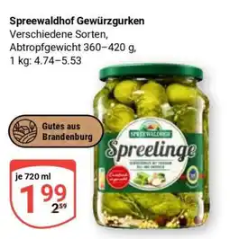 Globus Spreewaldhof Gewürzgurken Angebot