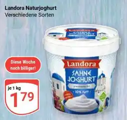 Globus Landora Naturjoghurt Angebot