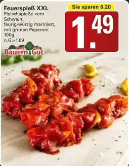 WEZ Bauern Gut Feuerspieẞ XXL Angebot