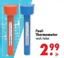 Mäc Geiz Pool- Thermometer Angebot