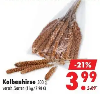 Mäc Geiz Kolbenhirse Angebot