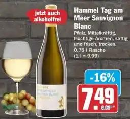 AEZ Hammel Tag am Meer Sauvignon Blanc Angebot