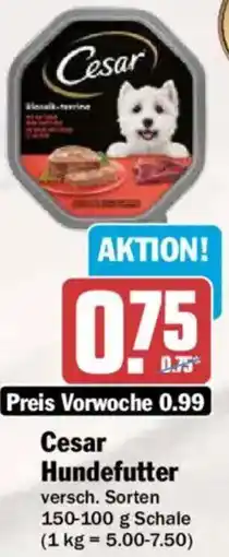 AEZ Cesar Hundefutter Angebot