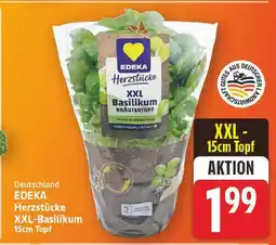 E-Center Edeka herzstücke xxl-basilikum Angebot