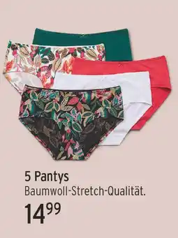 E-Center Pantys Angebot