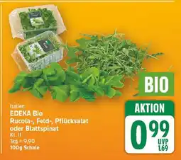 E-Center Edeka bio rucola Angebot