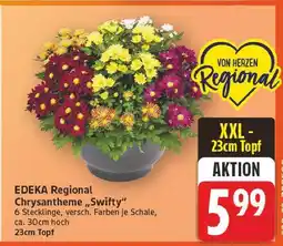 E-Center Edeka regional chrysantheme „swifty“ Angebot