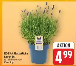 E-Center Edeka herzstücke lavendel Angebot