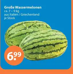 V Markt Große wassermelonen Angebot