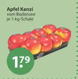 V Markt Apfel kanzi Angebot