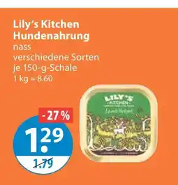 V Markt Lily's kitchen hundenahrung Angebot