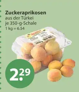V Markt Zuckeraprikosen Angebot
