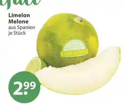 V Markt Limelon melone Angebot