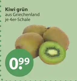 V Markt Kiwi grün Angebot