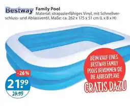 V Markt Bestway family pool Angebot