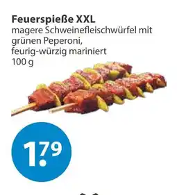 V Markt Feuerspieße xxl Angebot