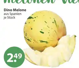 V Markt Dino melone Angebot