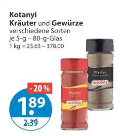 V Markt Kotanyi kräuter und gewürze Angebot