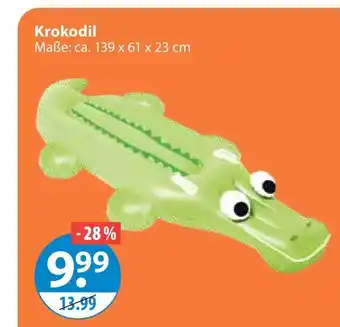 V Markt Krokodil Angebot
