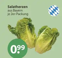 V Markt Salatherzen Angebot