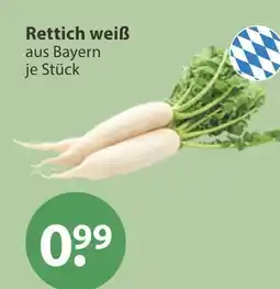 V Markt Rettich weiß Angebot