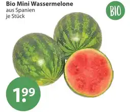 V Markt Bio mini wassermelone Angebot