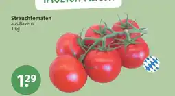 V Markt Strauchtomaten Angebot
