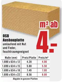 B1 Discount Baumarkt OSB Ausbauplatte Angebot