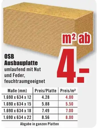 B1 Discount Baumarkt OSB Ausbauplatte Angebot