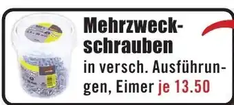 B1 Discount Baumarkt Mehrzweckschrauben Angebot