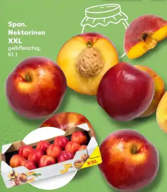 Kaufland Span. Nektarinen XXL Angebot