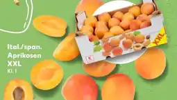 Kaufland Ital./span. Aprikosen XXL Angebot