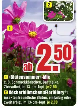 B1 Discount Baumarkt »Blütensommer<<-Mix Angebot