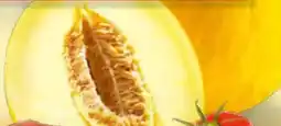 Netto Marken-Discount Honigmelone Angebot