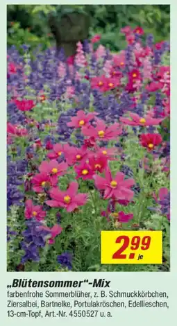 toom Baumarkt ,,Blütensommer"-Mix Angebot