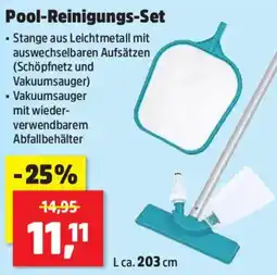 Thomas Philipps Pool-Reinigungs-Set Angebot