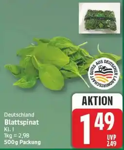 Marktkauf Deutschland Blattspinat Angebot