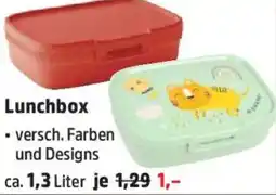 Thomas Philipps Curver Lunchbox Angebot
