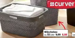 Thomas Philipps Curver Wäschebox Angebot