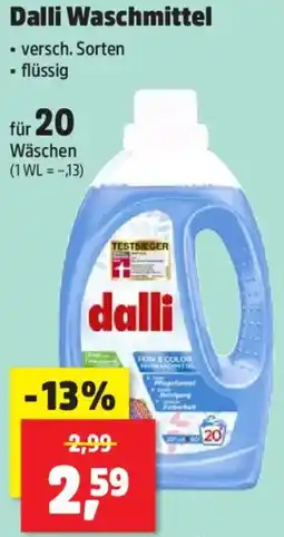 Thomas Philipps Dalli Waschmittel Angebot