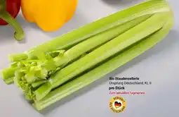 Globus Bio Staudensellerie Angebot